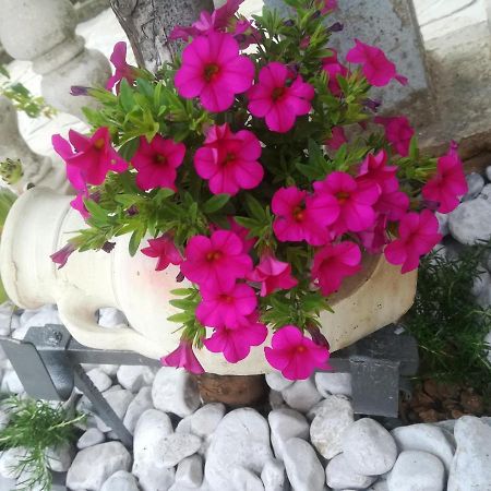 Apartman Pelcic,With Wifi And Free Parking Kostrena Exterior foto